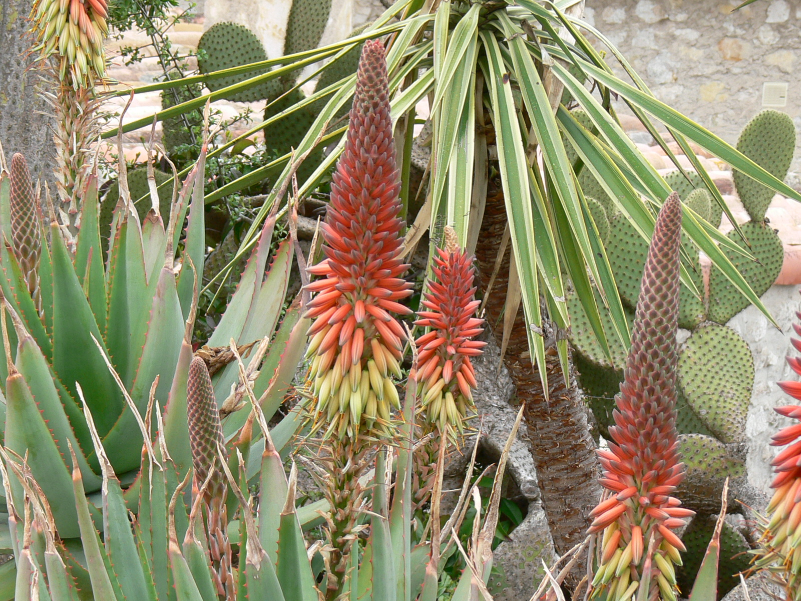 P1080140