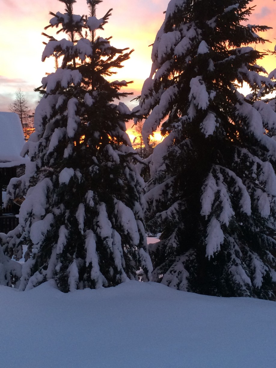 SonneU 1-11